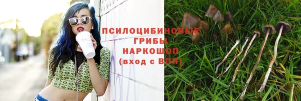 спиды Горно-Алтайск