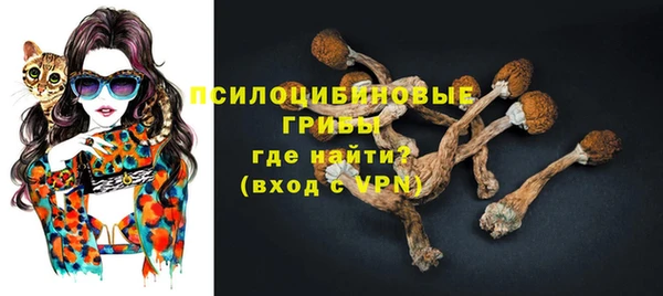 спиды Горно-Алтайск